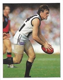 1994 Select AFL Stickers #68 Michael McGuane Front